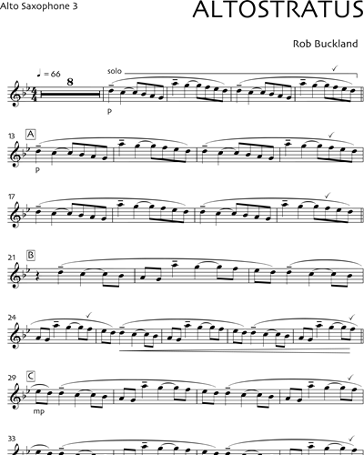 Alto Saxophone 3