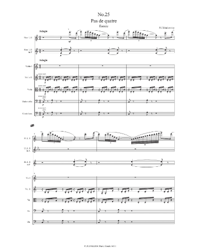 Bluebird Pas de deux (from 'The Sleeping Beauty, op. 66')