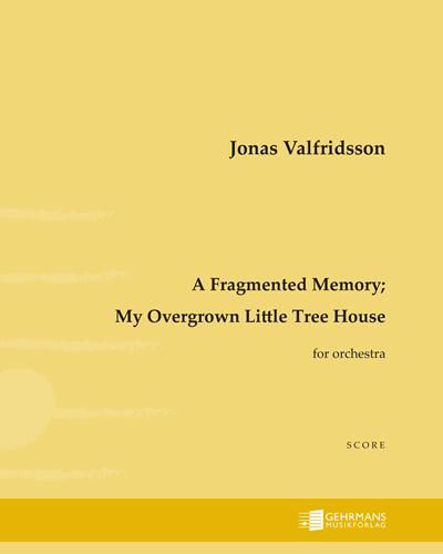 A Fragmented Memory